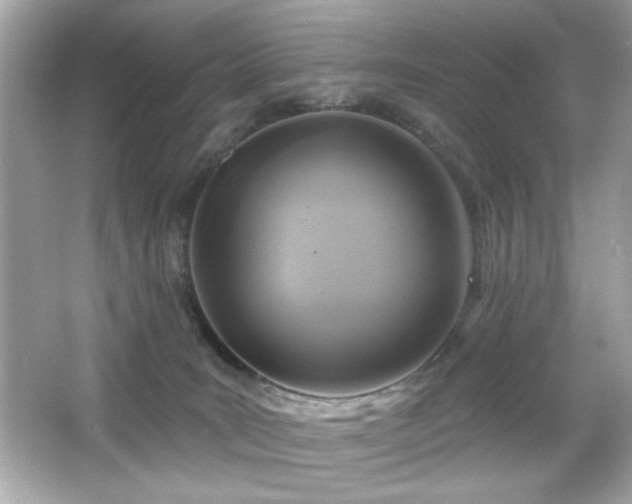X0000066510035200603171203