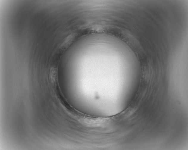 X0000066510036200603171203