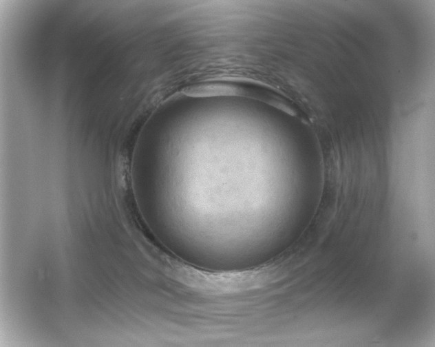 X0000066510038200603171203