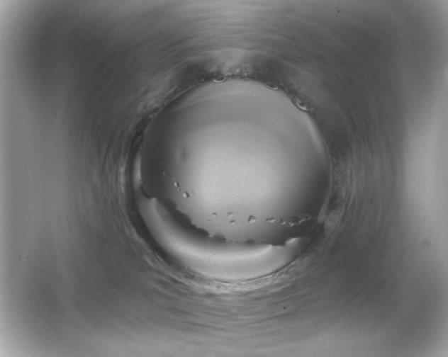 X0000066510039200603171203
