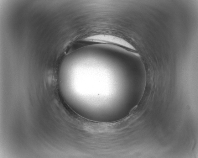 X0000066510040200603171203