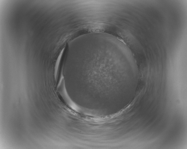 X0000066510041200603171203