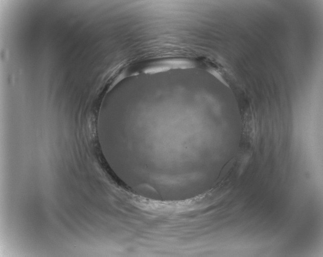 X0000066510043200603171203