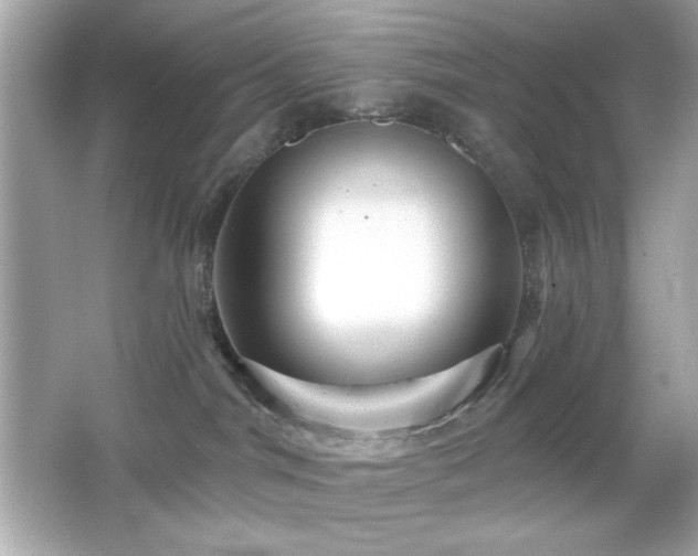 X0000066510044200603171203