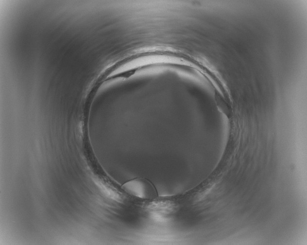 X0000066510063200603171203