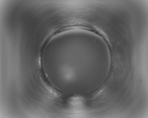 X0000066510067200603171203