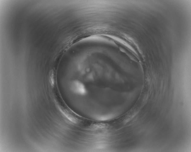 X0000066510069200603171203