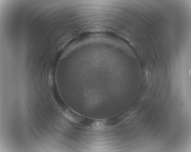 X0000066510080200603171203