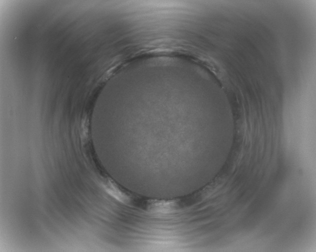 X0000066510081200603171203