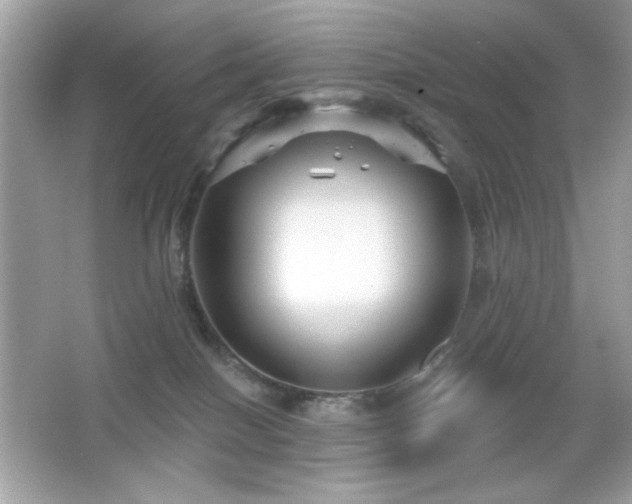 X0000066510086200603171203