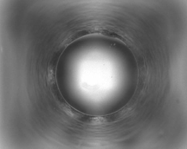 X0000066510087200603171203