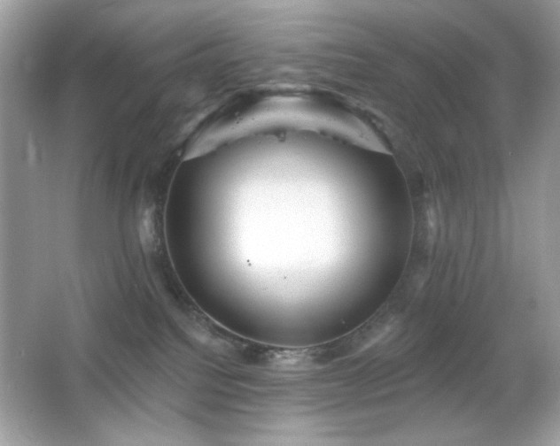 X0000066510088200603171203