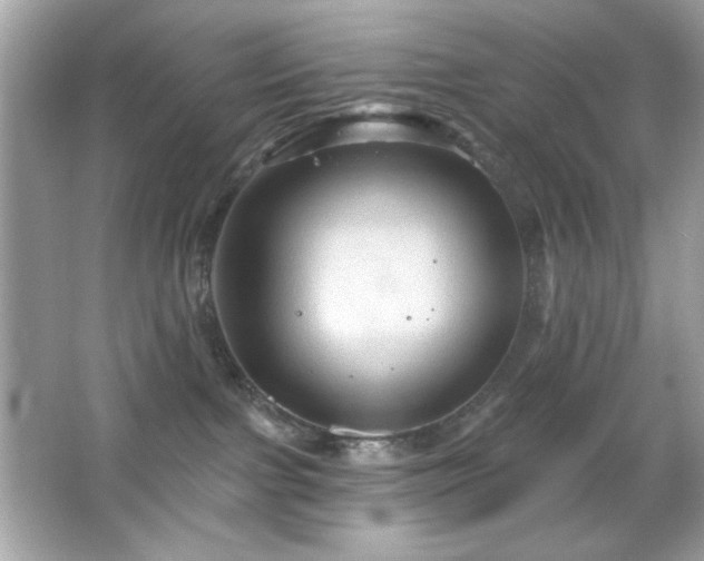 X0000066510091200603171203
