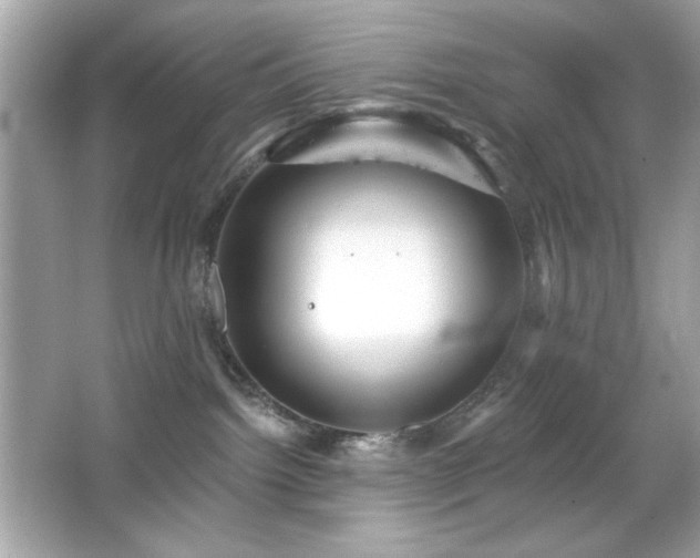X0000066510092200603171203