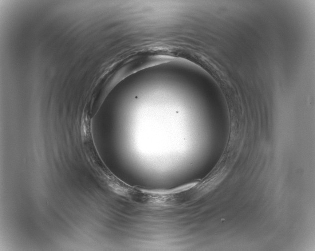X0000066510096200603171203