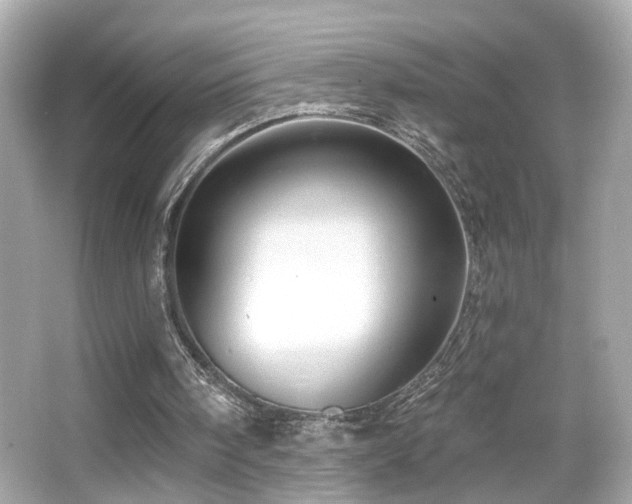 X0000066510098200603171202