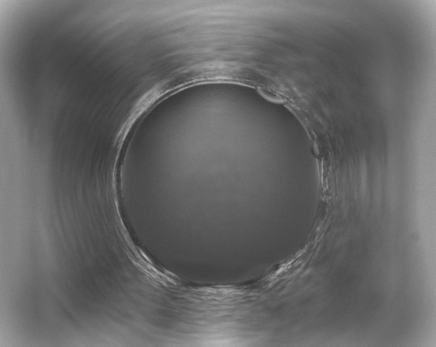 X0000066510099200603171202
