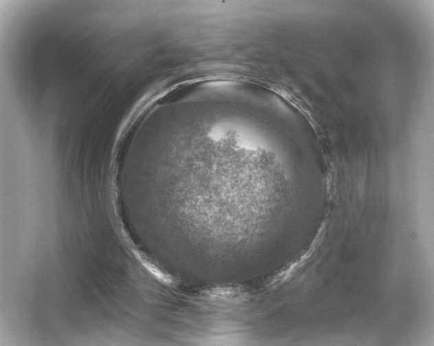 X0000066510101200603171202