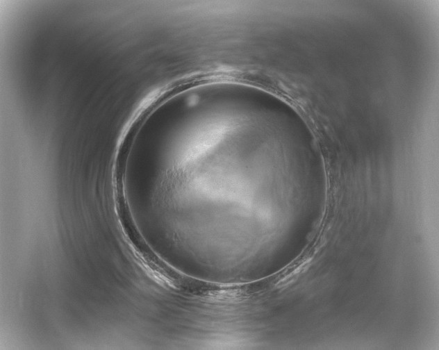 X0000066510102200603171202