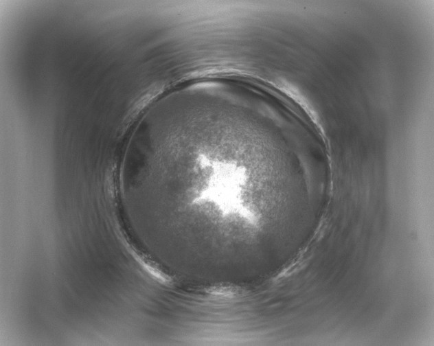 X0000066510105200603171202