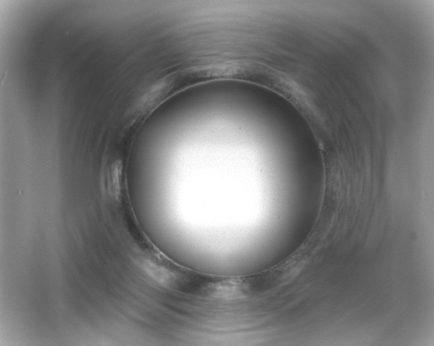 X0000066510118200603171202