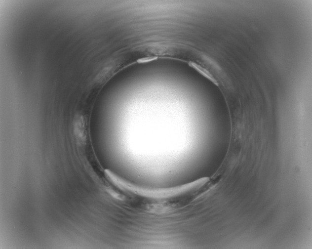 X0000066510121200603171202