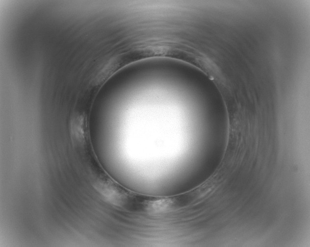 X0000066510122200603171202