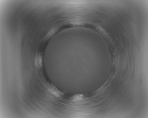X0000066510124200603171202