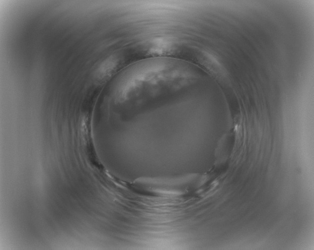 X0000066510127200603171202
