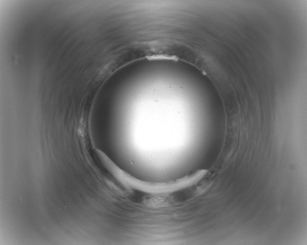 X0000066510129200603171202