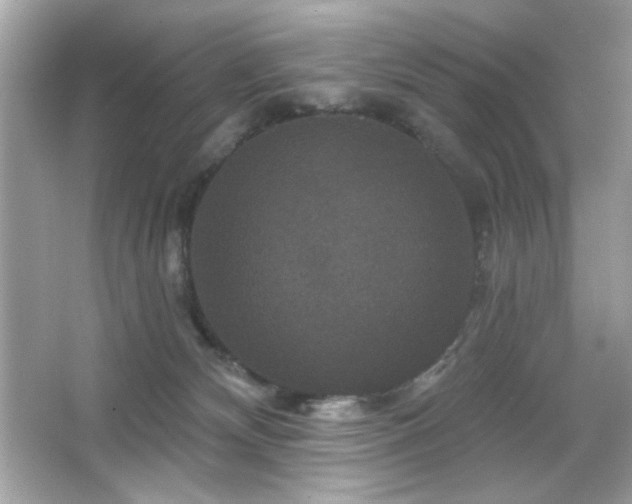 X0000066510132200603171202