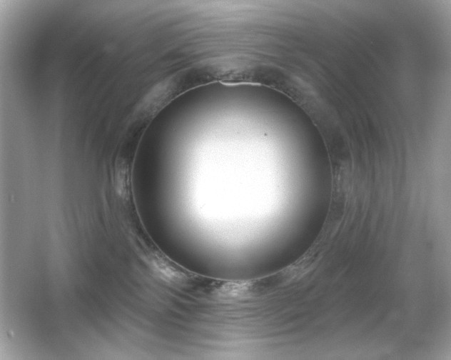 X0000066510138200603171202