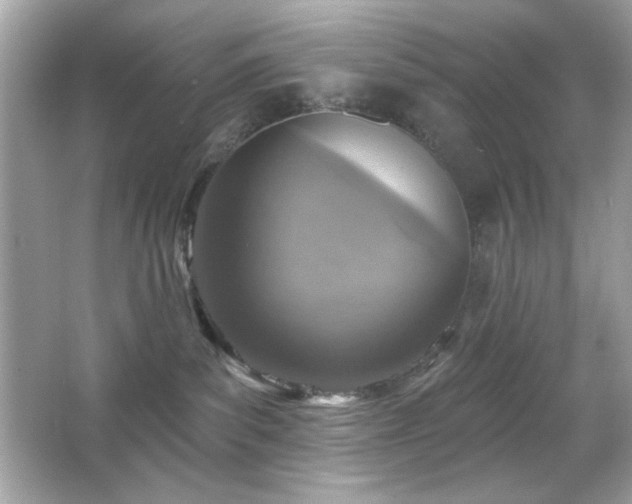 X0000066510139200603171202