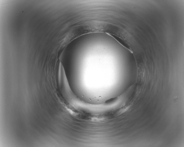 X0000066510141200603171202