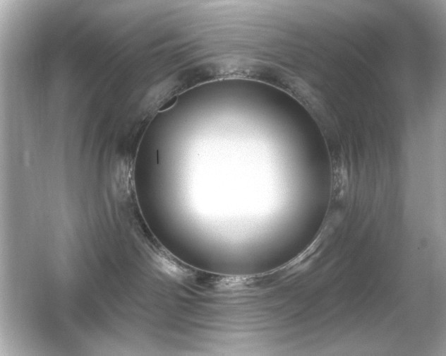 X0000066510142200603171202