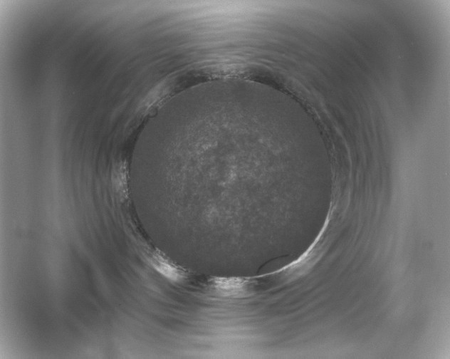 X0000066510144200603171202