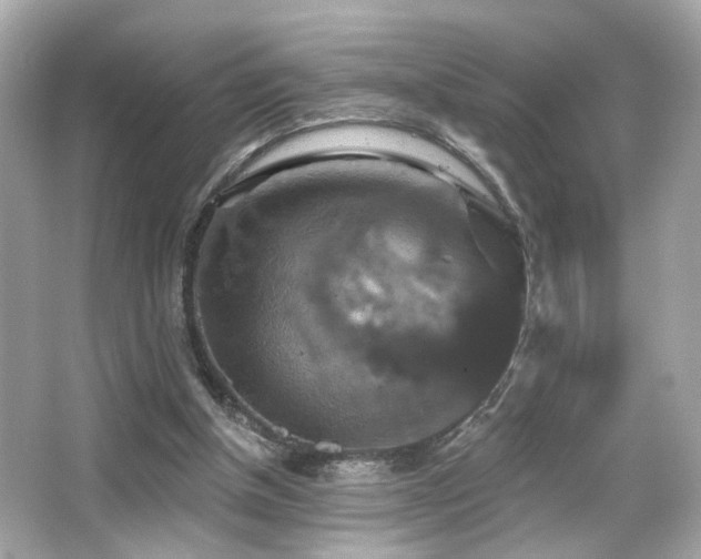 X0000066510154200603171201