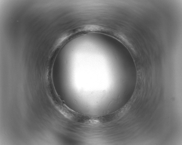 X0000066510159200603171201