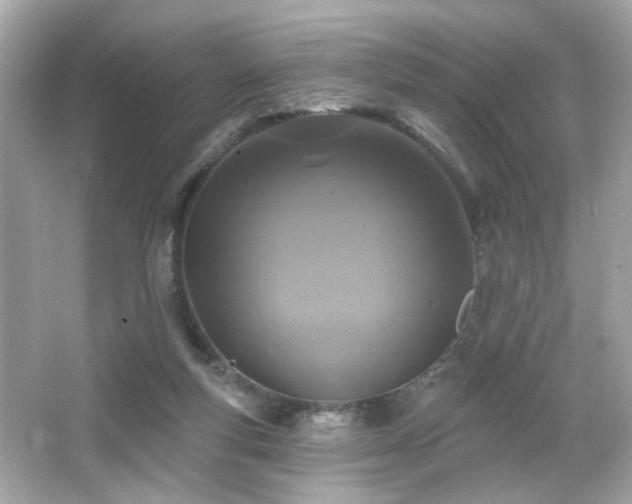 X0000066510163200603171201