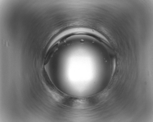 X0000066510164200603171201