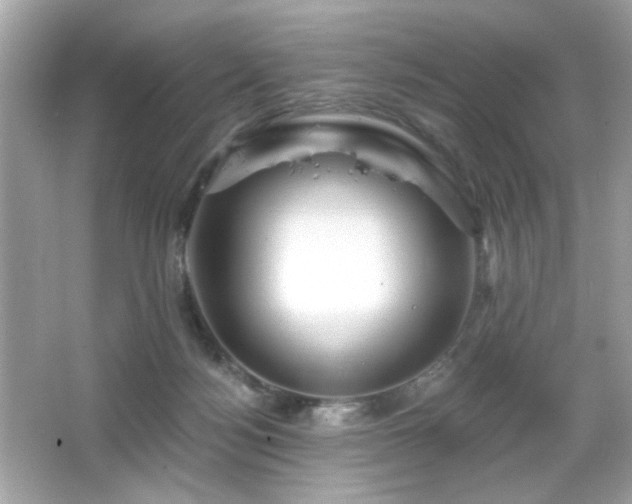 X0000066510172200603171201
