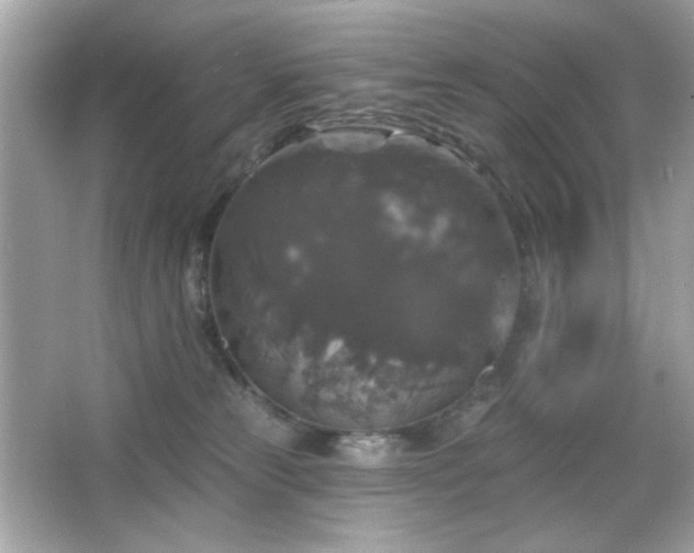X0000066510181200603171201
