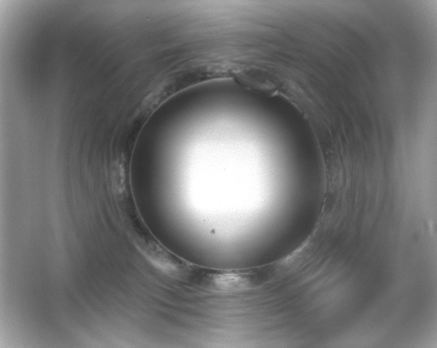 X0000066510183200603171201