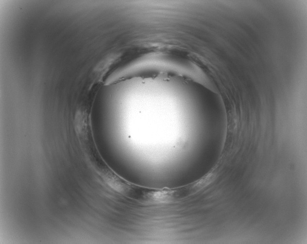 X0000066510184200603171201