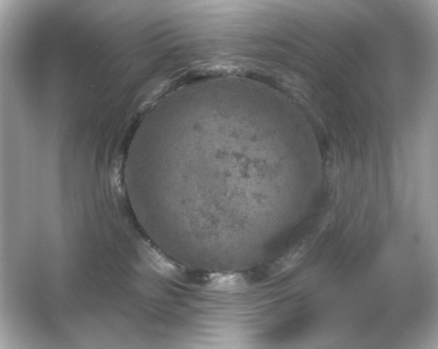 X0000066510185200603171201
