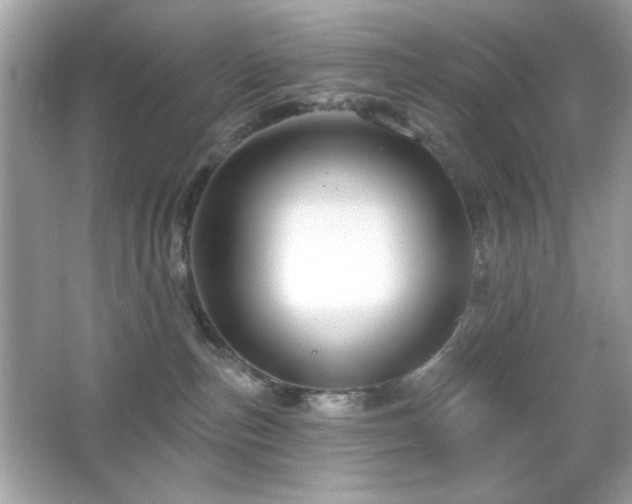X0000066510187200603171202