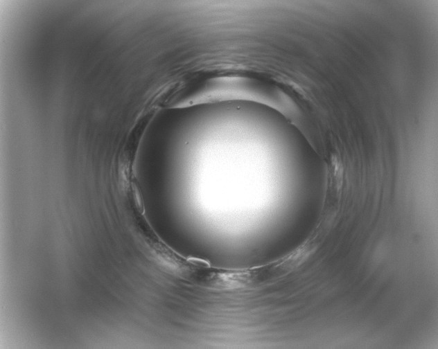X0000066510188200603171202