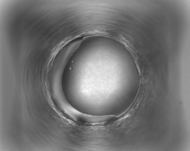 X0000066510193200603171201