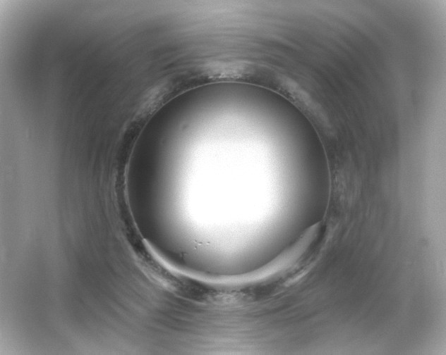 X0000066510209200603171200
