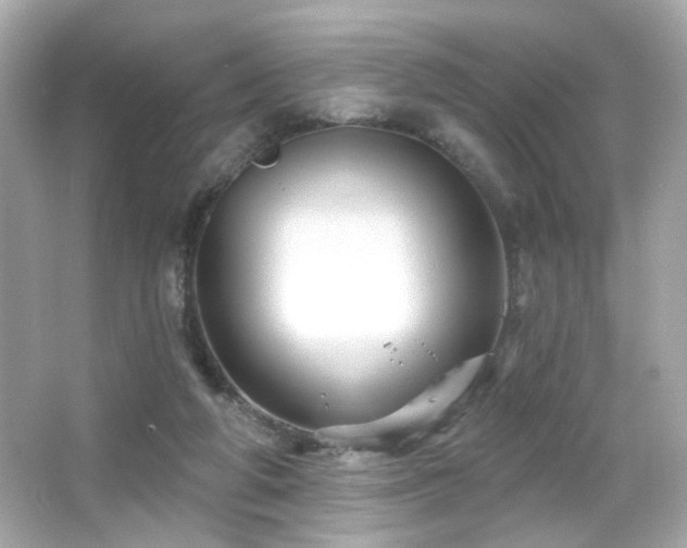 X0000066510210200603171200